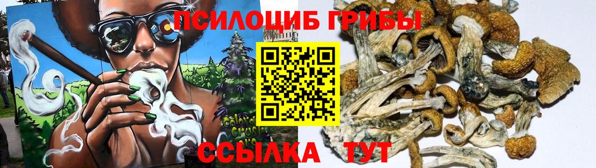 Заволжье  Галлюциногенные грибы GOLDEN TEACHER  Вход с VPN 