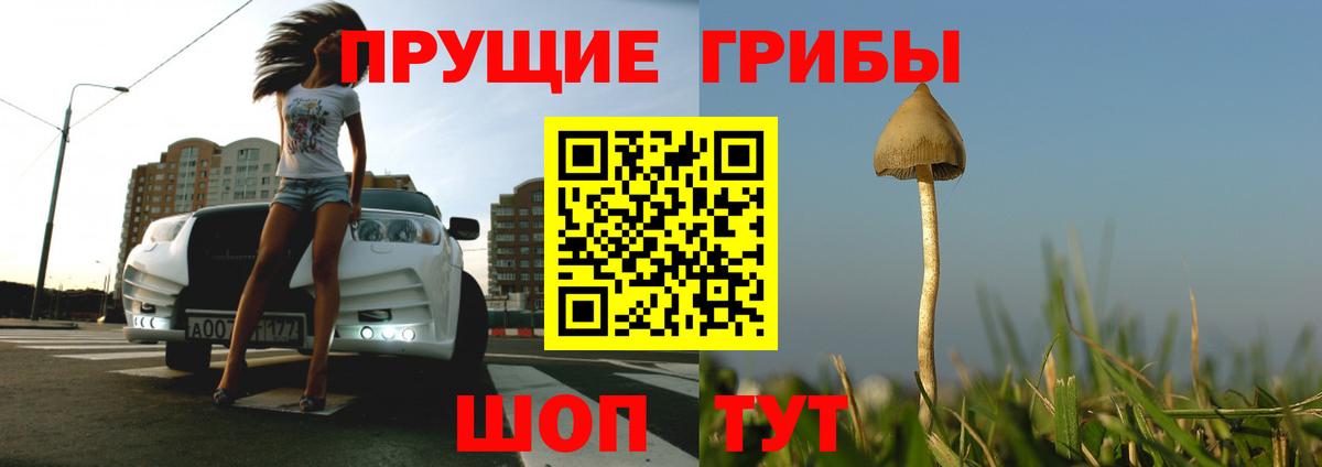 Псилоцибиновые грибы мухоморы Заволжье